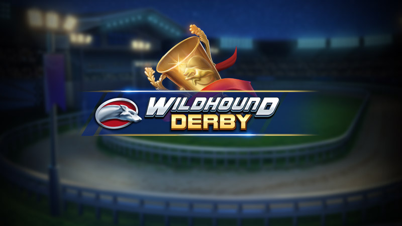 Wildhound Derby